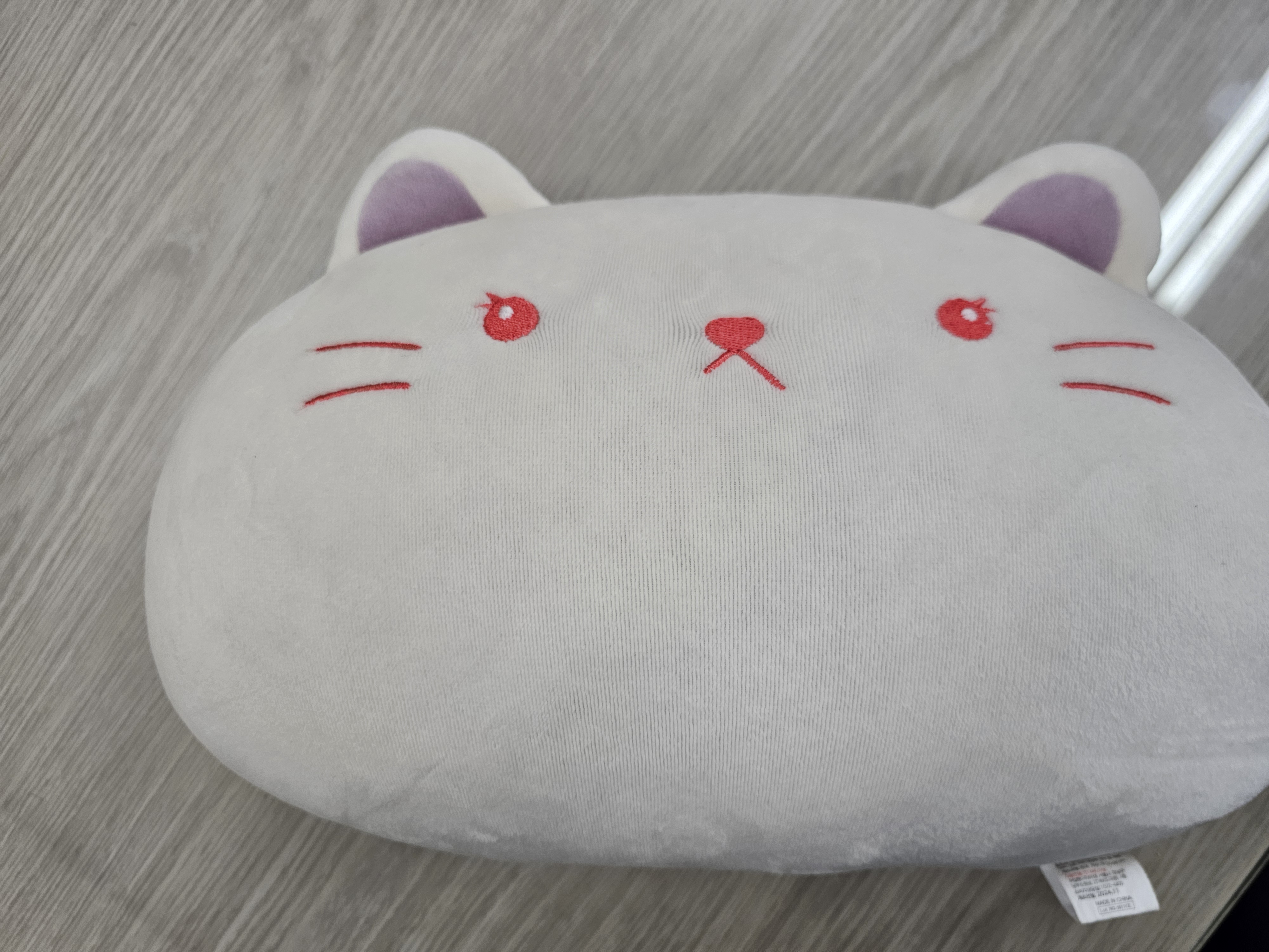 2025년 8월 4일 분실물(캐릭터 쿠션)